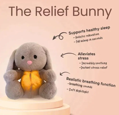 Rabbit Sensory Plush Toy