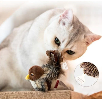 Interactive Mouse and Bird Cat Toy