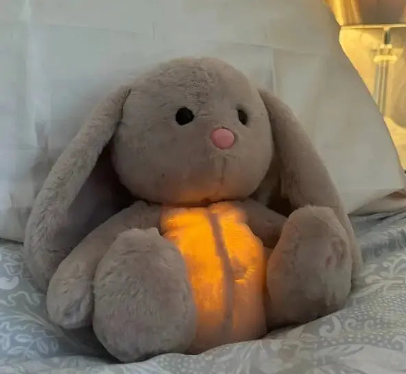 Rabbit Sensory Plush Toy